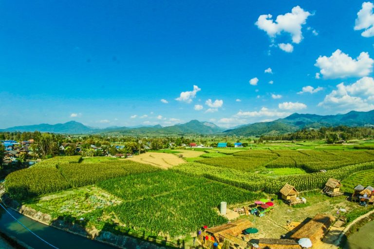 organic farm in southeast asia