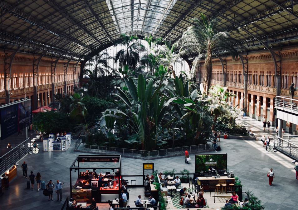 Botanical Garden in Madrid Atocha Train Station