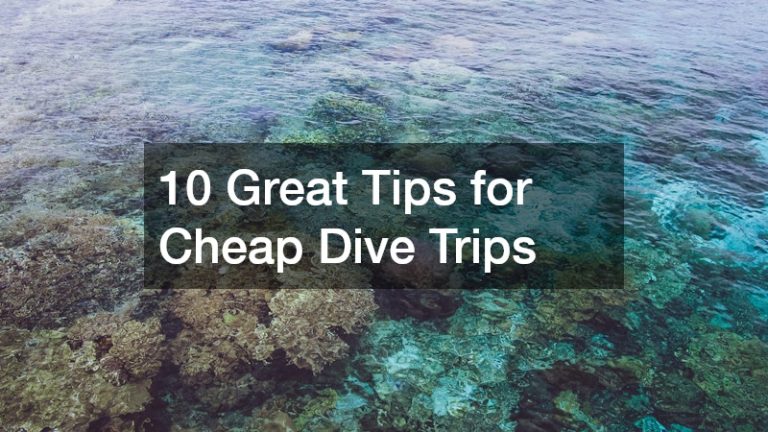 10 Great Tips for Cheap Dive Trips